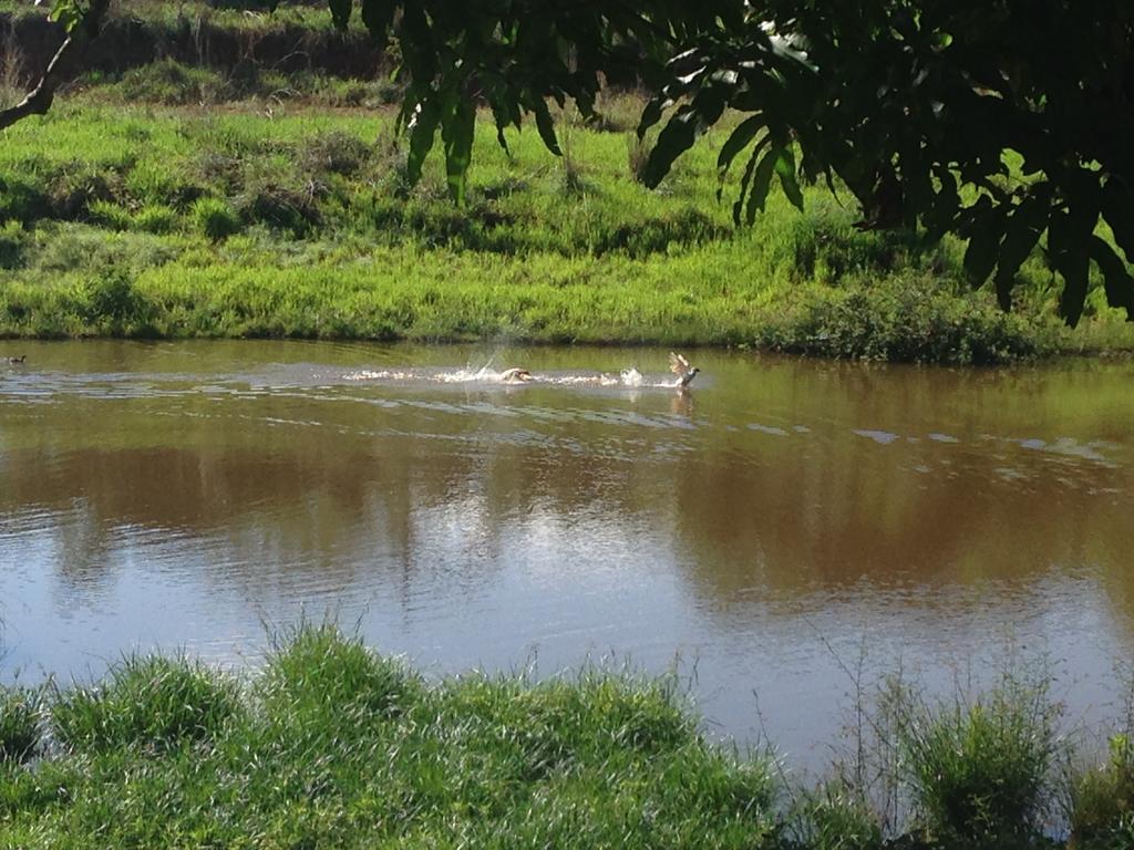 Pirenópolis Aguas Vivas Hotel Fazenda المظهر الخارجي الصورة