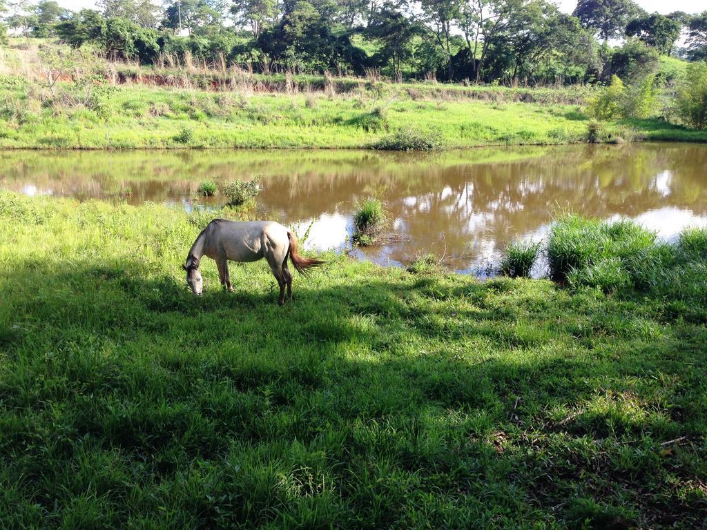 Pirenópolis Aguas Vivas Hotel Fazenda المظهر الخارجي الصورة